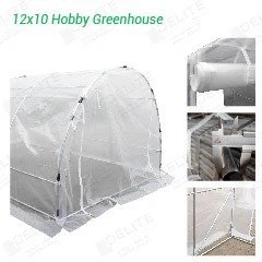 hobby greenhouse 10x12 PDT031-02